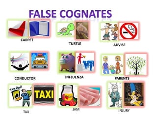 FALSE COGNATES CARPET TURTLE ADVISE INFLUENZA CONDUCTOR PARENTS JAM INJURY TAX 