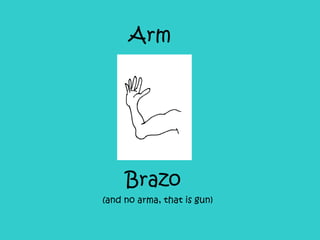 Arm Brazo (and no arma, that is gun)