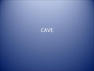 CAVE 