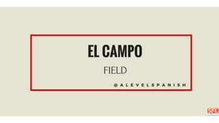 False friends in Spanish set 002