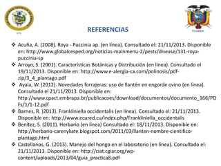 REFERENCIAS
 Acuña, A. (2008). Roya - Puccinia ap. (en línea). Consultado el: 21/11/2013. Disponible
en: http://www.globalcesped.org/noticias-mainmenu-2/pests/disease/131-royapuccinia-sp
 Arroyo, S. (2001). Características Botánicas y Distribución (en línea). Consultado el
19/11/2013. Disponible en: http://www.e-alergia-ca.com/polinosis/pdfzip/3_4_plantago.pdf
 Ayala, W. (2012). Novedades forrajeras: uso de llantén en engorde ovino (en línea).
Consultado el 21/11/2013. Disponible en:
http://www.cpact.embrapa.br/publicacoes/download/documentos/documento_166/PD
Fs/1/1-12.pdf
 Barnes, R. )2013). Frankliniella occidentalis (en línea). Consultado el: 21/11/2013.
Disponible en: http://www.ecured.cu/index.php/Frankliniella_occidentalis
 Benítez, S. (2011). Herbario (en línea) Consultado el: 18/11/2013. Disponible en:
http://herbario-carenykate.blogspot.com/2011/03/llanten-nombre-cientificoplantago.html
 Castellanos, G. (2013). Manejo del hongo en el laboratorio (en línea). Consultado el:
21/11/2013. Disponible en: http://ciat.cgiar.org/wpcontent/uploads/2013/04/guia_practica8.pdf

 