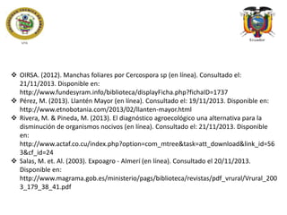  OIRSA. (2012). Manchas foliares por Cercospora sp (en línea). Consultado el:
21/11/2013. Disponible en:
http://www.fundesyram.info/biblioteca/displayFicha.php?fichaID=1737
 Pérez, M. (2013). Llantén Mayor (en línea). Consultado el: 19/11/2013. Disponible en:
http://www.etnobotania.com/2013/02/llanten-mayor.html
 Rivera, M. & Pineda, M. (2013). El diagnóstico agroecológico una alternativa para la
disminución de organismos nocivos (en línea). Consultado el: 21/11/2013. Disponible
en:
http://www.actaf.co.cu/index.php?option=com_mtree&task=att_download&link_id=56
3&cf_id=24
 Salas, M. et. Al. (2003). Expoagro - Almerí (en línea). Consultado el 20/11/2013.
Disponible en:
http://www.magrama.gob.es/ministerio/pags/biblioteca/revistas/pdf_vrural/Vrural_200
3_179_38_41.pdf

 