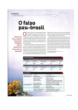 Falso pau-brasil