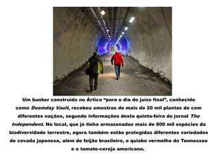 Um bunker construído no Ártico “para o dia do juízo final”, conhecido
como Doomday Vault, recebeu amostras de mais de 20 mil plantas de cem
diferentes nações, segundo informações desta quinta-feira do jornal The
Independent. No local, que já tinha armazenadas mais de 800 mil espécies da
biodiversidade terrestre, agora também estão protegidas diferentes variedades
de cevada japonesa, além do feijão brasileiro, o quiabo vermelho do Tennessee
e o tomate-cereja americano.
 