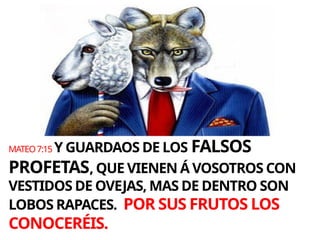 MATEO7:15 Y GUARDAOS DE LOS FALSOS
PROFETAS, QUE VIENEN Á VOSOTROS CON
VESTIDOS DE OVEJAS, MAS DE DENTRO SON
LOBOS RAPACES. POR SUS FRUTOS LOS
CONOCERÉIS.
 