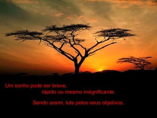 Um sonho pode ser breve,
rápido ou mesmo insignificante.
Sendo assim, lute pelos seus objetivos.
 