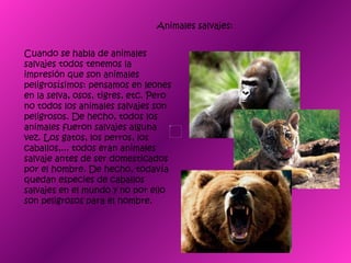 Animales salvajes: Cuando se habla de animales salvajes todos tenemos la impresión que son animales peligrosísimos: pensamos en leones en la selva, osos, tigres, etc. Pero no todos los animales salvajes son peligrosos. De hecho, todos los animales fueron salvajes alguna vez. Los gatos, los perros, los caballos,... todos eran animales salvaje antes de ser domesticados por el hombre. De hecho, todavía quedan especies de caballos salvajes en el mundo y no por ello son peligrosos para el hombre.  