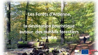 Les Forêts d’Ardenne,
la destination touristique
autour des massifs forestiers
wallons
Luxembourg créative – 24 octobre 2017 – Ressources Naturelles Développement asbl
 