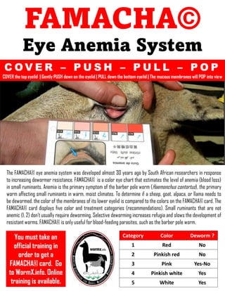FAMACHA©
Eye Anemia System
The FAMACHA© eye anemia system was developed almost 30 years ago by South African researchers in response
to increasing dewormer resistance. FAMACHA© is a color eye chart that estimates the level of anemia (blood loss)
in small ruminants. Anemia is the primary symptom of the barber pole worm (Haemonchus contortus), the primary
worm affecting small ruminants in warm, moist climates. To determine if a sheep, goat, alpaca, or llama needs to
be dewormed, the color of the membranes of its lower eyelid is compared to the colors on the FAMACHA© card. The
FAMACHA© card displays five color and treatment categories (recommendations). Small ruminants that are not
anemic (1, 2) don’t usually require deworming. Selective deworming increases refugia and slows the development of
resistant worms. FAMACHA© is only useful for blood-feeding parasites, such as the barber pole worm.
Category Color Deworm ?
1 Red No
2 Pinkish red No
3 Pink Yes-No
4 Pinkish white Yes
5 White Yes
C O V E R – P U S H – P U L L – P O P
COVER the top eyelid | Gently PUSH down on the eyelid | PULL down the bottom eyelid | The mucous membranes will POP into view
You must take an
official training in
order to get a
FAMACHA© card. Go
to WormX.info. Online
training is available.
 