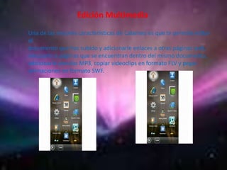 Edición Multimedia
Una de las mejores características de Calameo es que te permite editar
el
documento que has subido y adicionarle enlaces a otras páginas web,
vincularlo a páginas que se encuentran dentro del mismo documento,
adicionarle sonidos MP3, copiar videoclips en formato FLV y pegar
animaciones en formato SWF.
 