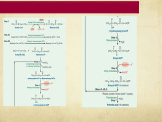 Fatty Acid metabolism | PPTX
