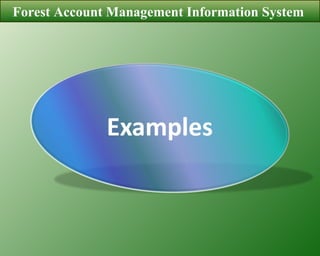 Forest Account Management Information System  