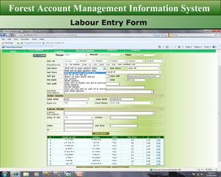 Forest Account Management Information System  Labour Entry Form 