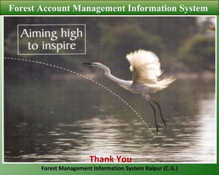 Forest Account Management Information System  Thank You Forest Management Information System Raipur (C.G.) 