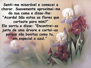 Senti-me miserável e comecei a chorar. Suavemente aproximei-me da sua cama e disse-lhe:  “ Acorda! São estas as flores que cortaste para mim?” Ele sorriu e disse: “Encontrei-as  junto de uma árvore e cortei-as  porque são bonitas como tu,  em especial a azul.”   