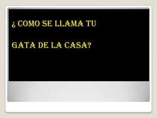¿ COMO SE LLAMA TU GATA DE LA CASA?