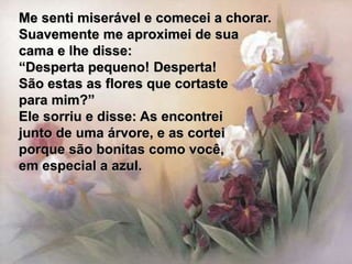 Me senti miserável e comecei a chorar.
Suavemente me aproximei de sua
cama e lhe disse:
“Desperta pequeno! Desperta!
São estas as flores que cortaste
para mim?”
Ele sorriu e disse: As encontrei
junto de uma árvore, e as cortei
porque são bonitas como você,
em especial a azul.
 