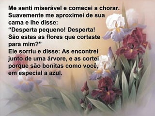Me senti miserável e comecei a chorar.Me senti miserável e comecei a chorar.
Suavemente me aproximei de suaSuavemente me aproximei de sua
cama e lhe disse:cama e lhe disse:
““Desperta pequeno! Desperta!Desperta pequeno! Desperta!
São estas as flores que cortasteSão estas as flores que cortaste
para mim?”para mim?”
Ele sorriu e disse: As encontreiEle sorriu e disse: As encontrei
junto de uma árvore, e as corteijunto de uma árvore, e as cortei
porque são bonitas como você,porque são bonitas como você,
em especial a azul.em especial a azul.
 