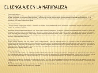 EL LENGUAJE EN LA NATURALEZA
 Comunicación química
 Depende del sentido del olfato y en algunas ocasiones del gusto. Estas señales pueden recorrer grandes distancias cuando sontransportadas por las corrientes
del aire, aunque sólo son percibidas a favor del viento. Las sustancias químicas específicas que producen efectos concretos se llaman feromonas. En las
colonias de abejas, por ejemplo, la reina produce una feromona "real" que impide el desarrollo de los ovarios de las obreras.Las feromonas tienen una gran
importancia en lo relativo a la atracción sexual.
 Comunicación sonora
 Las ondas sonoras pueden variar de altura e intensidad con rapidez. Sirven para transmitir mucha información. Estas señales viajan en todas direcciones y el
receptor las localiza con facilidad.
 Por ejemplo, los monos aulladores y algunas aves, ranas y sapos poseen grandes sacos vocales que aumentan considerablemente los sonidos que emiten. En
el caso de los sapos, emiten un sonido para atraer a la hembra y otro para "avisar" a otros que él también es macho. Las cigarras que cantan son machos, y lo
hacen para atraer a las hembras. Los pollitos emiten sonidos de distinta intensidad en donde avisan a la gallina en distintassituaciones (si están asustados o si
tienen hambre o frío). Los cocodrilos, cuando están por nacer, emiten sonidos con lo que avisan a su madre y ella destapa elnido subterráneo para que los
pequeños puedan subir a la superficie.
 Comunicación visua
 Muchos animales diferentes usan estas señales, que se pueden encender y apagar en un instante, aunque por lo general son útiles en determinadas horas del
día. Suelen ser llamativas o consistir en movimientos bruscos. Por ejemplo, una de las garras del cangrejo violinista macho es mayor que la otra, tiene colores
fuertes y la sacude para atraer a las hembras. Los colores y diseños de las alas de las mariposas y de los machos de muchas aves atraen a sus compañeras en
distancias cortas. Cuando vuelan por la noche, los lampíridos machos producen destellos luminosos con señales características, mientras que las hembras
responden con sus destellos desde el suelo.
 Comunicación táctil
 La comunicación táctil se refiere a las señales transmitidas a través del contacto de la piel o partes exteriores de los seres vivos. Estas señales sirven al alcance
de la mano y tienen una gran importancia entre los primates, como una forma de indicación de amistad y para tranquilizar. El hecho de que un individuo cuide al
otro, por ejemplo eliminándole los parásitos indeseables, es su manera de reforzar los lazos familiares y de amistad. Los mecanismos principales son:
 Transmisión por vibraciones. Actúan sólo en distancias muy cortas. Para indicar su presencia a las hembras, los machos de lasarañas de estuche hacen vibrar
sus membranas de un modo característico. Los cocodrilos producen vibraciones desde el interior de sus cuerpos para producir vibraciones que la hembra pueda
percibir.
 Transmisión eléctrica. Algunos peces que viven en los ríos lodosos de América del Sur y África usan estas señales capaces deatravesar cuerpos sólidos. Son
utilizadas para la agresión, para el cortejo y para orientarse.
 