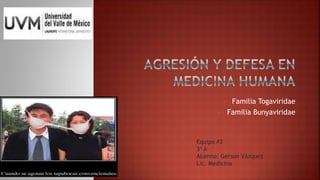 • Familia Togaviridae
• Familia Bunyaviridae
Equipo #3
3º A
Alumno: Gerson Vázquez
Lic. Medicina
 