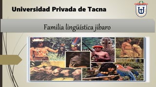 Universidad Privada de Tacna
Familia lingüística jibaro
 
