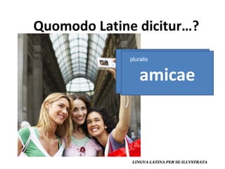 amica amicae pluralis 