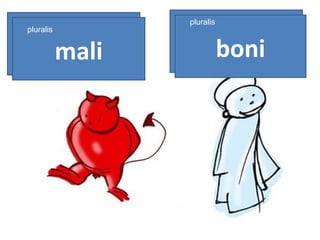 bonus boni pluralis malus mali pluralis pluralis 