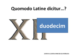 duodecim 