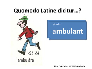 ambulat ambulant pluralis 