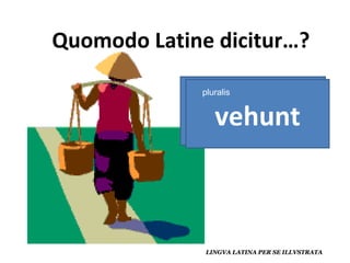 vehit vehunt pluralis 