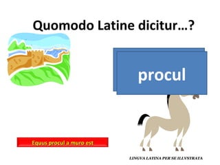 lejos procul Equus procul a muro est 