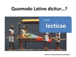 lectica lecticae pluralis 