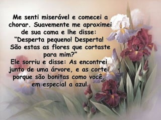 Me senti miserável e comecei a chorar. Suavemente me aproximei de sua cama e lhe disse:  “ Desperta pequeno! Desperta!  São estas as flores que cortaste para mim?” Ele sorriu e disse: As encontrei  junto de uma árvore, e as cortei  porque são bonitas como você,  em especial a azul . 