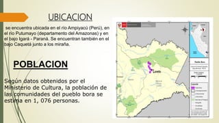 UBICACION
se encuentra ubicada en el río Ampiyacú (Perú), en
el río Putumayo (departamento del Amazonas) y en
el bajo Igará - Paraná. Se encuentran también en el
bajo Caquetá junto a los miraña.
POBLACION
Según datos obtenidos por el
Ministerio de Cultura, la población de
las comunidades del pueblo bora se
estima en 1, 076 personas.
 