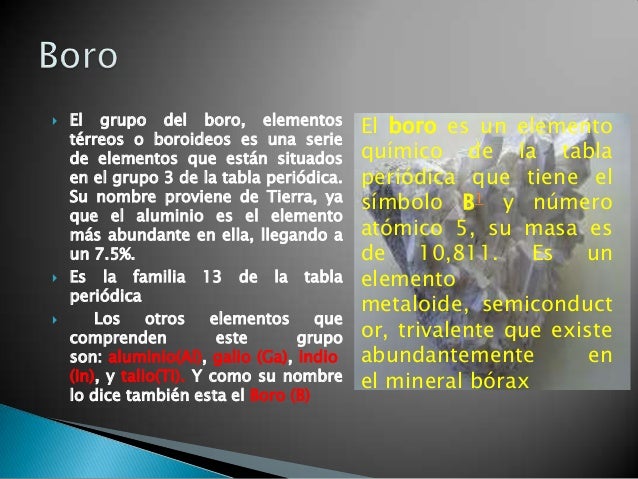 Familia del boro