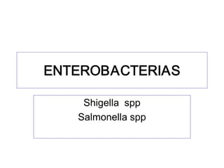 ENTEROBACTERIAS 

    Shigella  spp 
   Salmonella spp
   Salmonella spp 
 