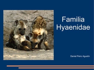 Familia
Hyaenidae


   Daniel Peiro Agustín
 