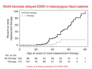 RAAS blockade delayed ESRD in heterozygous Alport patients
Temme, et al. Kidney international. 81:779-83, 2012
 