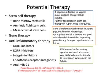 Potential Therapy
• Stem cell therapy
– Bone marrow stem cells
– Amniotic fluid stem cells
– Mesenchymal stem cells
• Gene therapy
• Anti-inflammatory therapy
– DDR1 inhibitors
– EGFR inhibitors
– Integrin inhibitors
– Endothelin receptor antagonists
– Anti-miR-21
It appears effective in Alport
mice, despite controversial
results.
Further research on stem cell
therapy in Alport mice is required.
Gene transfer has worked well in Alport
pigs, but failed in Alport dogs.
Appropriate lentiviral vectors and good
animal models is crucial to improving
gene therapy for Alport syndrome in the
future.
All these anti-inflammatory
agents mentioned above are
very likely to be used clinically
to treat Alport syndrome in the
future.
Pediatr Nephrol .DOI 10.1007/s00467-017-3784-3
F1000Research 2017, 6(F1000 Faculty Rev):50 Last updated: 17 JAN 2017
 