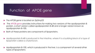 Function of APOE gene
 The APOB gene is located on 2p24-p23
 The APOB gene provides instructions for making two versions of the apolipoprotein B
protein, a short version called apolipoprotein B-48 and a longer version known as
apolipoprotein B-100.
 Both of these proteins are components of lipoproteins.
 Apolipoprotein B-48 is produced in the intestine, where it is a building block of a type of
lipoprotein called a chylomicron.
 Apolipoprotein B-100, which is produced in the liver, is a component of several other
types of lipoproteins
 
