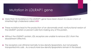 Mutation in LDLRAP1 gene
 More than 10 mutations in the LDLRAP1 gene have been shown to cause a form of
inherited high cholesterol called ARH
 These mutations lead to the production of an abnormally small, nonfunctional version of
the LDLRAP1 protein or prevent cells from making any of this protein.
 Without the LDLRAP1 protein, LDL receptors are unable to remove LDL’s from the
bloodstream effective.
 The receptors can still bind normally to low-density lipoproteins, but not properly
transported into cells . As a result,more low-density lipoproteins remain in the blood.
 