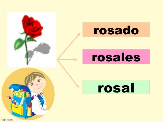 Familia de palabras