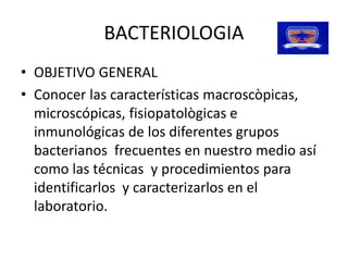 BACTERIOLOGIA 
•  OBJETIVO GENERAL 
•  Conocer las características macroscòpicas, 
   microscópicas, fisiopatològicas e 
   inmunológicas de los diferentes grupos 
   bacterianos  frecuentes en nuestro medio así 
   como las técnicas  y procedimientos para 
   identificarlos  y caracterizarlos en el
   identificarlos  y caracterizarlos en el 
   laboratorio. 
 