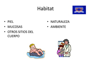 Habitat 

•  PIEL                    •  NATURALEZA 
•  MUCOSAS                 •  AMBIENTE
•  OTROS SITIOS DEL 
   CUERPO 
 