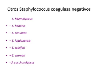 Otros Staphylococcus 
       Staphylococcus coagulasa negativos
•  – S. haemolyticus 

•  – S. hominis 

•  – S. simulans 

•  – S. lugdunensis 

•  – S. scleiferi 

•  – S. warneri 

•  ‐ S. saccharolyticus 
 