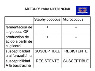 METODOS PARA DIFERENCIAR 

              Staphylococcus  Micrococcus 

fermentación de       +            ­ 
la glucosa OF 
producción de         +            ­ 
ácido a partir de 
el glicerol 
susceptibilidad  SUSCEPTIBLE  RESISTENTE 
a al furazolidina 
susceptibilidad  RESISTENTE  SUSCEPTIBLE 
                              SUSCEPTIBLE
A la bacitracina 
A la bacitracina 
 