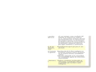 Familia Micrococaceae