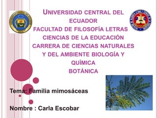 UNIVERSIDAD CENTRAL DEL
ECUADOR
FACULTAD DE FILOSOFÍA LETRAS Y
CIENCIAS DE LA EDUCACIÓN
CARRERA DE CIENCIAS NATURALES
Y DEL AMBIENTE BIOLOGÍA Y
QUÍMICA
BOTÁNICA
Tema: Familia mimosáceas
Nombre : Carla Escobar
 