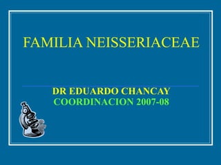 FAMILIA NEISSERIACEAE
DR EDUARDO CHANCAY
COORDINACION 2007-08
 