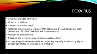 POXVIRUS
• Virus mas grandes conocidos.
• Virus con envoltura
• Genoma de ADNbc lineal
• Proteínas estructurales y enzimas: RNA polimerasa DNA dependiente, DNA
polimerasa, hidrolasa, DNA helicasa, topoisomerasa.
• Replican en el citoplasma
• Tropismo por revestimientos epiteliales: pústulas (pox)
• La mayoría producen enfermedades de poca gravedad y localizadas y algunas
pueden ser letales en animales ej: monkeypox.
 